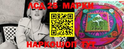прущие грибы Камышлов
