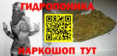 2c-b Кандалакша